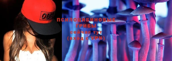 ECSTASY Белоозёрский