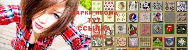 шишки Беломорск