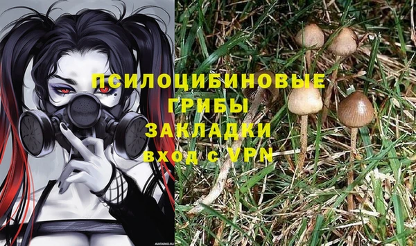 шишки Беломорск
