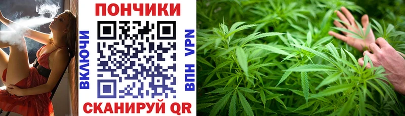Каннабис планчик  нарко площадка формула  Кудымкар 